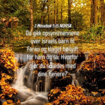 Picture 04 - 2 Mosebok 5:15 NORSK - Da gikk opsynsmennene over Israels barn til Farao - Bible Verse Picture