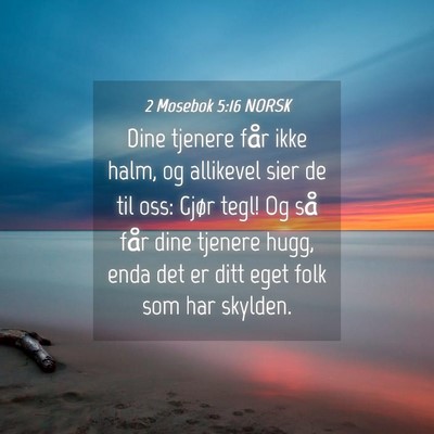 Picture 04 - 2 Mosebok 5:16 NORSK - Dine tjenere får ikke halm, og allikevel sier de - Bible Verse Picture
