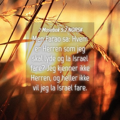 Picture 04 - 2 Mosebok 5:2 NORSK - Men Farao sa: Hvem er Herren som jeg skal lyde og - Bible Verse Picture