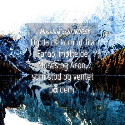 Picture 04 - 2 Mosebok 5:20 NORSK - Og da de kom ut fra Farao, møtte de Moses og - Bible Verse Picture