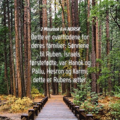 Picture 04 - 2 Mosebok 6:14 NORSK - Dette er overhodene for deres familier: Sønnene - Bible Verse Picture