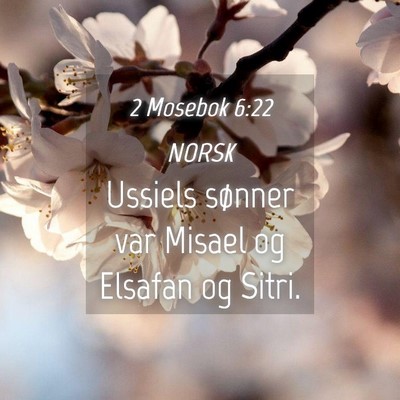 Picture 04 - 2 Mosebok 6:22 NORSK - Ussiels sønner var Misael og Elsafan og - Bible Verse Picture