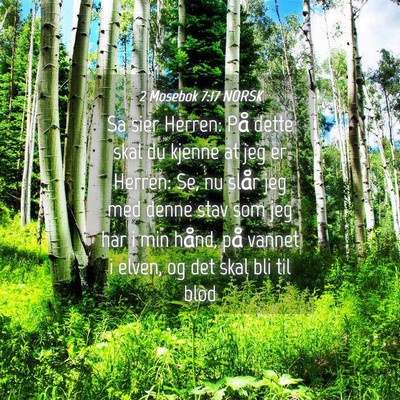 Picture 04 - 2 Mosebok 7:17 NORSK - Sa sier Herren: På dette skal du kjenne at jeg - Bible Verse Picture