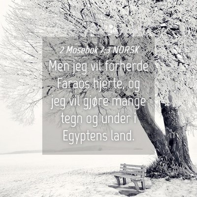 Picture 04 - 2 Mosebok 7:3 NORSK - Men jeg vil forherde Faraos hjerte, og jeg vil - Bible Verse Picture