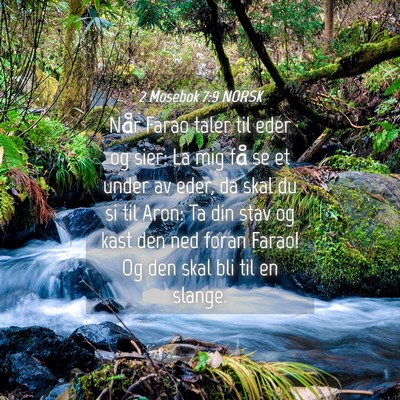 Picture 04 - 2 Mosebok 7:9 NORSK - Når Farao taler til eder og sier: La mig få se - Bible Verse Picture