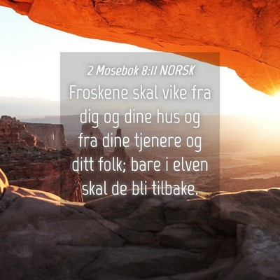 Picture 04 - 2 Mosebok 8:11 NORSK - Froskene skal vike fra dig og dine hus og fra - Bible Verse Picture