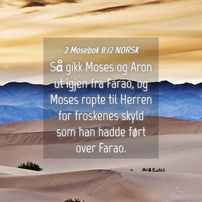 Picture 04 - 2 Mosebok 8:12 NORSK - Så gikk Moses og Aron ut igjen fra Farao, og - Bible Verse Picture