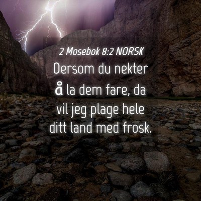 Picture 04 - 2 Mosebok 8:2 NORSK - Dersom du nekter å la dem fare, da vil jeg plage - Bible Verse Picture