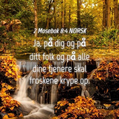 Picture 04 - 2 Mosebok 8:4 NORSK - Ja, på dig og på ditt folk og på alle dine - Bible Verse Picture