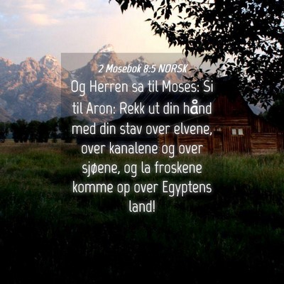 Picture 04 - 2 Mosebok 8:5 NORSK - Og Herren sa til Moses: Si til Aron: Rekk ut din - Bible Verse Picture