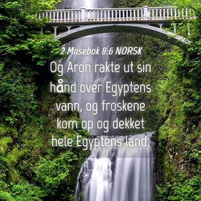 Picture 04 - 2 Mosebok 8:6 NORSK - Og Aron rakte ut sin hånd over Egyptens vann, og - Bible Verse Picture