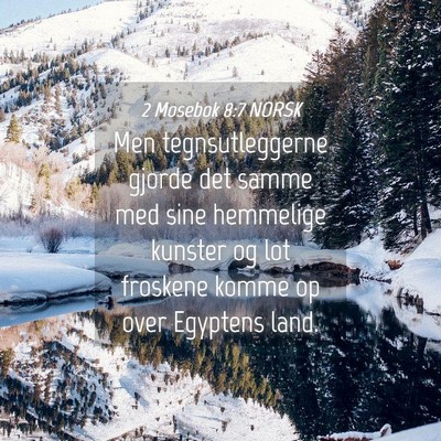 Picture 04 - 2 Mosebok 8:7 NORSK - Men tegnsutleggerne gjorde det samme med sine - Bible Verse Picture