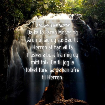 Picture 04 - 2 Mosebok 8:8 NORSK - Da kalte Farao Moses og Aron til sig og sa: Bed - Bible Verse Picture