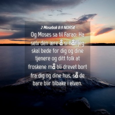 Picture 04 - 2 Mosebok 8:9 NORSK - Og Moses sa til Farao: Ha selv den ære å si - Bible Verse Picture