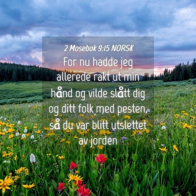 Picture 04 - 2 Mosebok 9:15 NORSK - For nu hadde jeg allerede rakt ut min hånd og - Bible Verse Picture