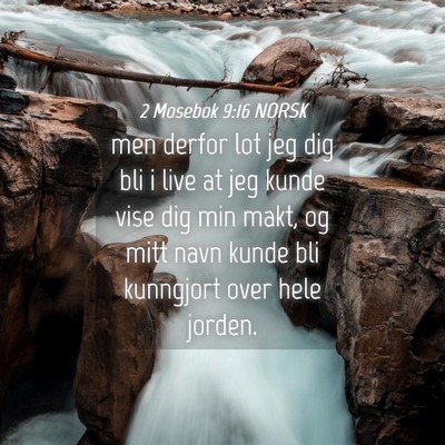 Picture 04 - 2 Mosebok 9:16 NORSK - men derfor lot jeg dig bli i live at jeg kunde - Bible Verse Picture