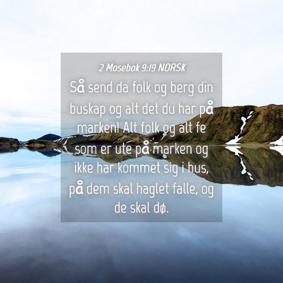 Picture 04 - 2 Mosebok 9:19 NORSK - Så send da folk og berg din buskap og alt det du - Bible Verse Picture