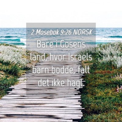 Picture 04 - 2 Mosebok 9:26 NORSK - Bare i Gosens land, hvor Israels barn bodde, falt - Bible Verse Picture