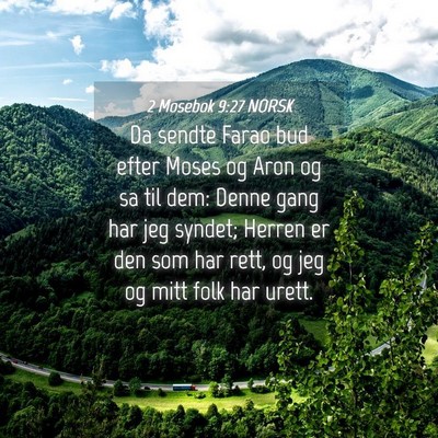 Picture 04 - 2 Mosebok 9:27 NORSK - Da sendte Farao bud efter Moses og Aron og sa til - Bible Verse Picture