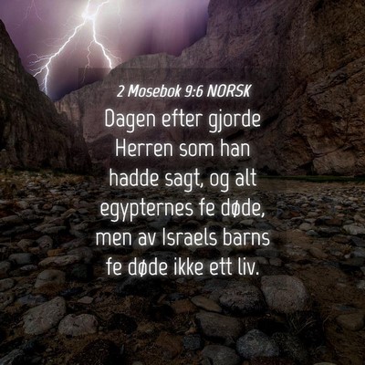 Picture 04 - 2 Mosebok 9:6 NORSK - Dagen efter gjorde Herren som han hadde sagt, og - Bible Verse Picture