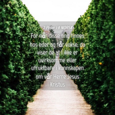 Picture 04 - 2 Peter 1:8 NORSK - For når disse ting finnes hos eder og får - Bible Verse Picture