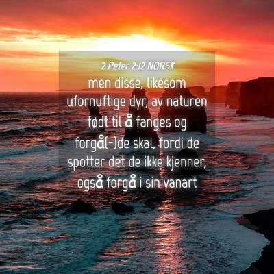 Picture 04 - 2 Peter 2:12 NORSK - men disse, likesom ufornuftige dyr, av naturen - Bible Verse Picture