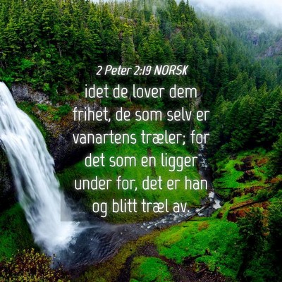 Picture 04 - 2 Peter 2:19 NORSK - idet de lover dem frihet, de som selv er - Bible Verse Picture
