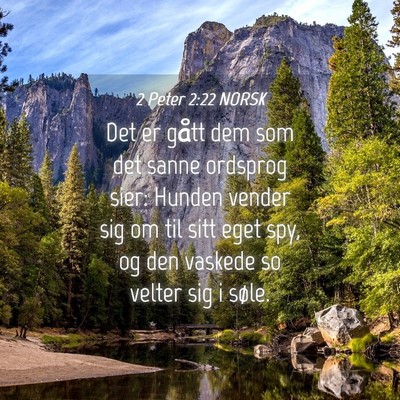 Picture 04 - 2 Peter 2:22 NORSK - Det er gått dem som det sanne ordsprog sier: - Bible Verse Picture