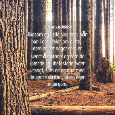 Picture 04 - 2 Peter 3:16 NORSK - likesom og i alle sine brev når han i dem taler - Bible Verse Picture