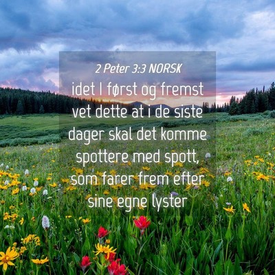 Picture 04 - 2 Peter 3:3 NORSK - idet I først og fremst vet dette at i de siste - Bible Verse Picture