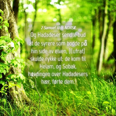 Picture 04 - 2 Samuel 10:16 NORSK - Og Hadadeser sendte bud at de syrere som bodde - Bible Verse Picture