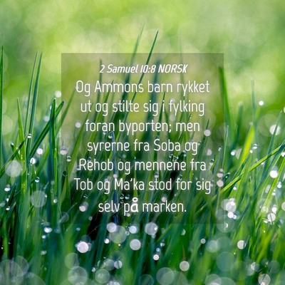 Picture 04 - 2 Samuel 10:8 NORSK - Og Ammons barn rykket ut og stilte sig i fylking - Bible Verse Picture