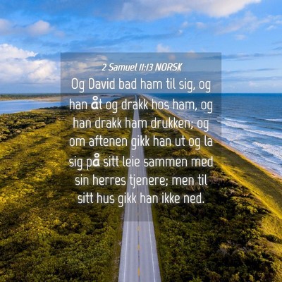 Picture 04 - 2 Samuel 11:13 NORSK - Og David bad ham til sig, og han åt og drakk hos - Bible Verse Picture