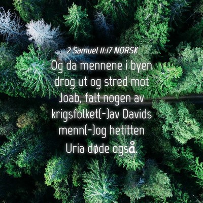 Picture 04 - 2 Samuel 11:17 NORSK - Og da mennene i byen drog ut og stred mot Joab, - Bible Verse Picture