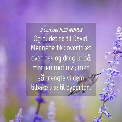 Picture 04 - 2 Samuel 11:23 NORSK - Og budet sa til David: Mennene fikk overtaket - Bible Verse Picture
