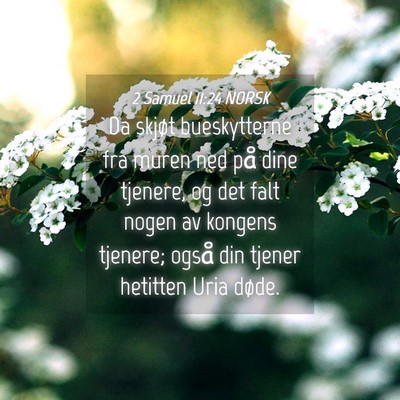 Picture 04 - 2 Samuel 11:24 NORSK - Da skjøt bueskytterne fra muren ned på dine - Bible Verse Picture