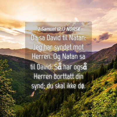 Picture 04 - 2 Samuel 12:13 NORSK - Da sa David til Natan: Jeg har syndet mot Herren. - Bible Verse Picture