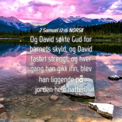 Picture 04 - 2 Samuel 12:16 NORSK - Og David søkte Gud for barnets skyld, og David - Bible Verse Picture