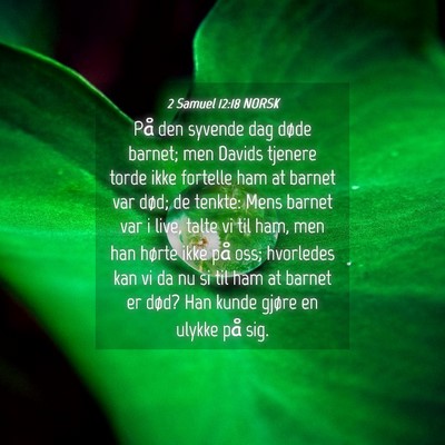 Picture 04 - 2 Samuel 12:18 NORSK - På den syvende dag døde barnet; men Davids - Bible Verse Picture