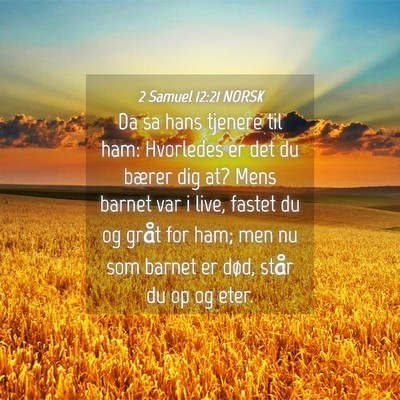 Picture 04 - 2 Samuel 12:21 NORSK - Da sa hans tjenere til ham: Hvorledes er det du - Bible Verse Picture