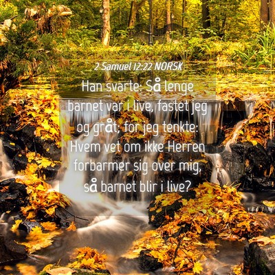 Picture 04 - 2 Samuel 12:22 NORSK - Han svarte: Så lenge barnet var i live, fastet - Bible Verse Picture
