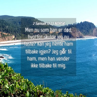 Picture 04 - 2 Samuel 12:23 NORSK - Men nu som han er død, hvorfor skulde jeg nu - Bible Verse Picture