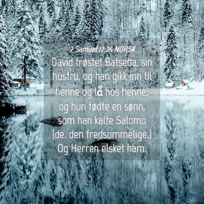 Picture 04 - 2 Samuel 12:24 NORSK - David trøstet Batseba, sin hustru, og han gikk - Bible Verse Picture