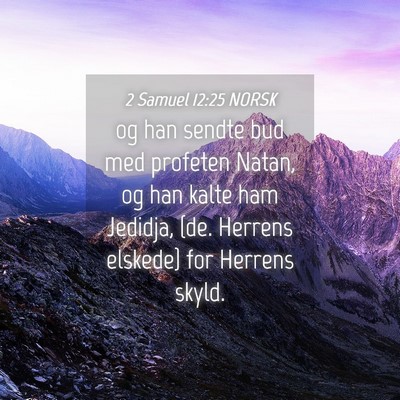 Picture 04 - 2 Samuel 12:25 NORSK - og han sendte bud med profeten Natan, og han - Bible Verse Picture