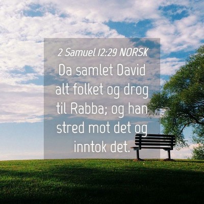 Picture 04 - 2 Samuel 12:29 NORSK - Da samlet David alt folket og drog til Rabba; og - Bible Verse Picture