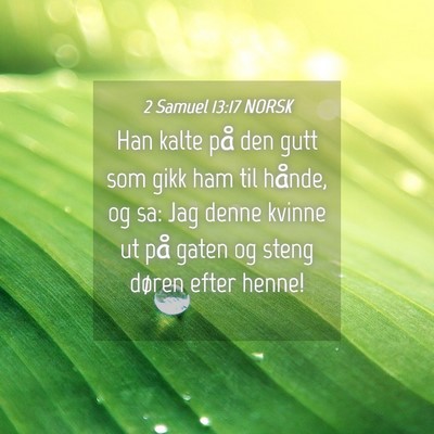 Picture 04 - 2 Samuel 13:17 NORSK - Han kalte på den gutt som gikk ham til hånde, - Bible Verse Picture