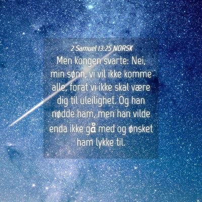 Picture 04 - 2 Samuel 13:25 NORSK - Men kongen svarte: Nei, min sønn, vi vil ikke - Bible Verse Picture