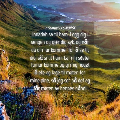 Picture 04 - 2 Samuel 13:5 NORSK - Jonadab sa til ham: Legg dig i sengen og gjør - Bible Verse Picture