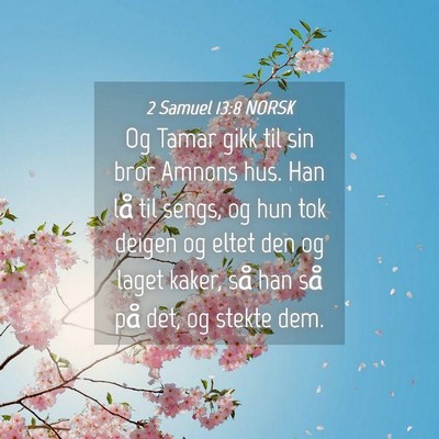 Picture 04 - 2 Samuel 13:8 NORSK - Og Tamar gikk til sin bror Amnons hus. Han lå - Bible Verse Picture