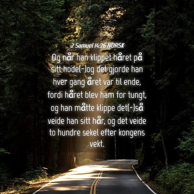 Picture 04 - 2 Samuel 14:26 NORSK - Og når han klippet håret på sitt hode(-)og det - Bible Verse Picture